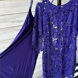 Coast  Lace Mini Dress